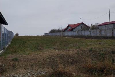 Teren Intravilan 16 km de Bucuresti - 1