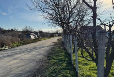 Teren de 1300 mp, în Curtișoara - 4