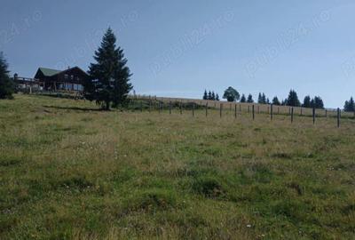 Teren de 8640 mp, în Beliș - 8