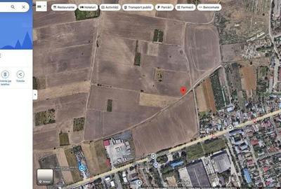 Teren Modelu, jud Calarasi, ID: 18949 - 4