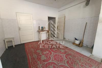 Casa individuala cu teren generos 2158mp, front 12m, livada, Freidorf - 42