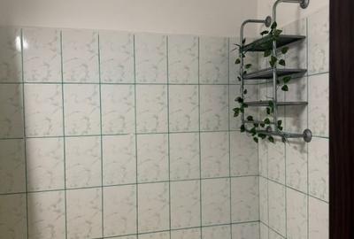 Apartament cu 2 Camere - Nicolina - Lidl - 14