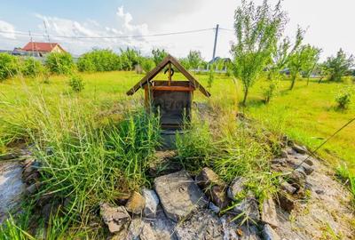 Teren de 1164 mp, în Bozânta Mare - 7