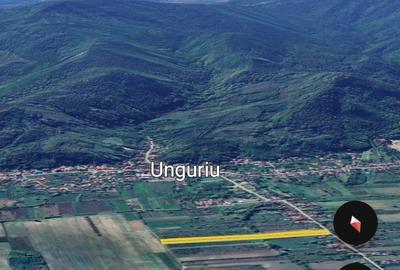 Teren de 10000 mp, în Unguriu - 4