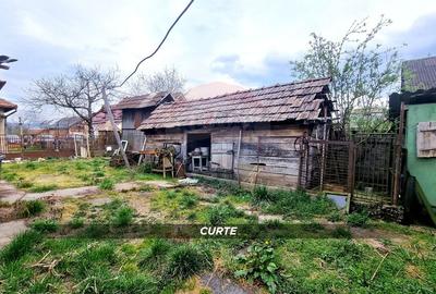 Casă cu 3 camere cu Teren 2460 Mp în Borlești - 16