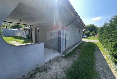 Casă cu 3 camere cu Teren 900 Mp în Roșioara - 23