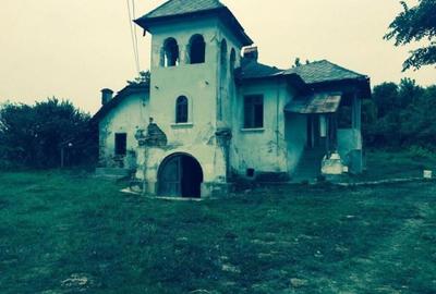 Teren de vanzre in Pitesti 53.000 mp + Conac Boieresc - 20
