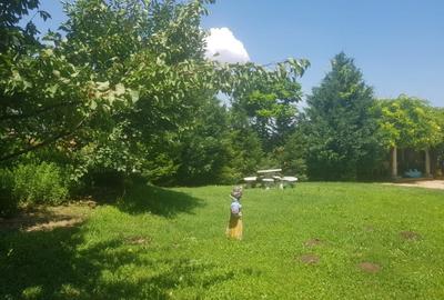 OCAZIE, VAND VILA  DE LUX 860 MP UTILI SI 1230 MP TEREN LANGA LACUL CERNICA - 34