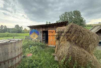 Casa de vanzare - GHINDAOANI - 18