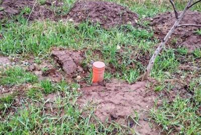 Teren intravilan de Magura Farbe - 8