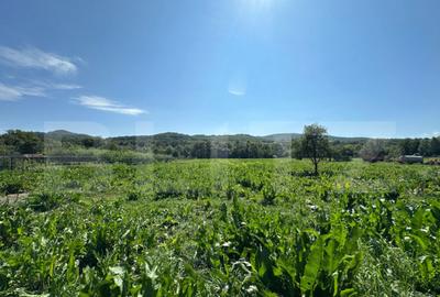 Casă cu 5 camere cu Teren 3000 Mp în Central - 17