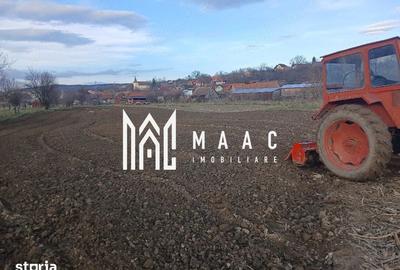 Casă cu 4 camere cu Teren 1800 Mp în Câineni - 2