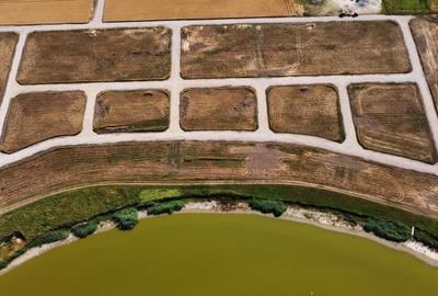 Teren Intravilan In Rate in Frumusani | utilitati: gaz, curent | #RG1 Teren Intravilan In Rate in Frumusani | utilitati: gaz, curent | #RG1 - 6