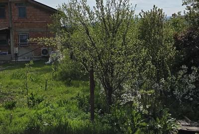 Teren de 5000 mp, în Vernești