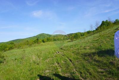 Teren Construcții intravilan de 38592 mp, în Sud-Vest - 16