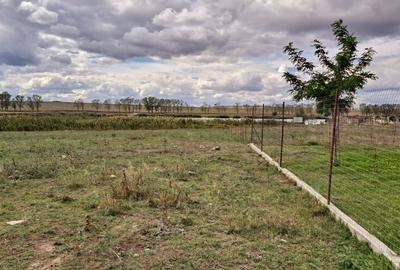 Teren intravilan de 1 Ha, cu iesire la lac, pretabil parc fotovoltaic sau turism - 8