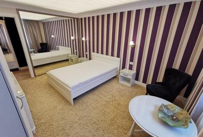 Garsoniera Ion Mihalache- Titulescu- Banu Manta - 4