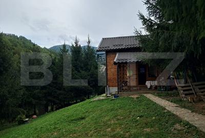 Cabana finalizata, cu teren - Somesu Rece (Com. Gilau) - 4