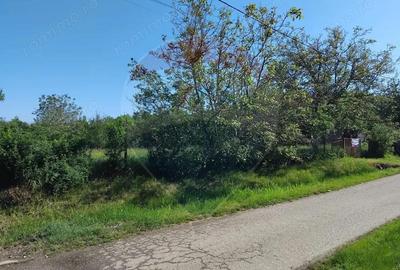 Teren 1,151mp Viile Apei / Strada Ungureasca - 4