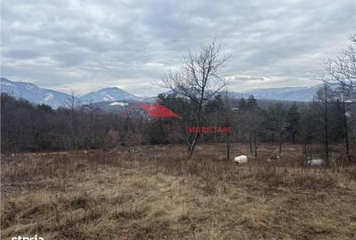 Teren de 15470 mp, în Prundu Bârgăului - 6