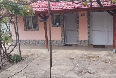 Casă cu 3 camere în Boldești
