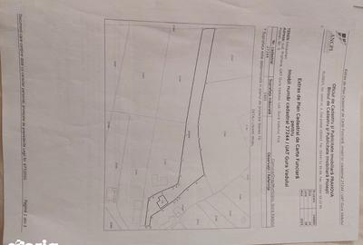 Casă cu 4 camere cu Teren 2000 Mp în Gura Vadului - 7