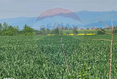 Spațiu comercial, în Central - 1