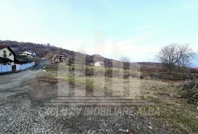 Teren intravilan de 1174 mp, în Cetate - 2