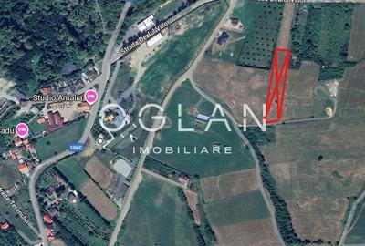 Teren Tocile (parcelabil) 3500 mp - 2