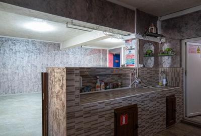 Vanzare imobil cu functiune mixta Ungureni/ Dambovita - 19