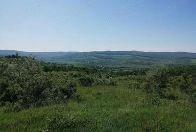 Teren de 350 mp, în Cercu - 7