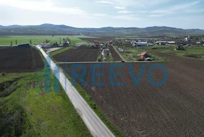 Teren de 3626 mp, în Nicolae Bălcescu - 3