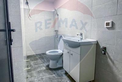 Hala depozitare 850 mp Jilava - Centura Bucuresti, sos Giurgiului - 9