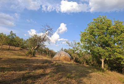 Teren spectaculos cu padure, livada si priveliste panoramica in Soimari PH - 7