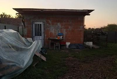 Casă cu 2 camere în Alioș - 7