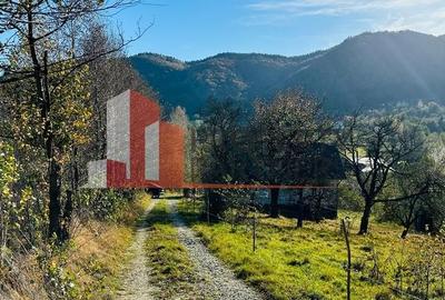 Teren Bran / Predelut cu priveliste 1840mp - 16