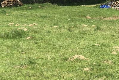 Spațiu comercial, în Racovița - 8