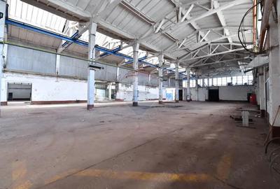 Teren industrial 35.000 mp cu hale de productie Craiova - 1