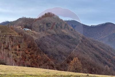 Teren la 10km de Gilau | 6,400mp | Somesu Rece | ideal agrement - 5