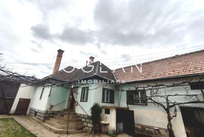 Casă individuală cu 3 camere în Gura Râului
