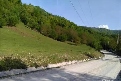 Teren de 5500 mp, în Pietroasa