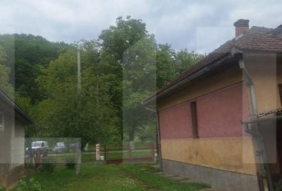 Casă cu 4 camere cu Teren 3745 Mp în Nădrag - 4