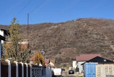 Teren de 3000 mp, în Aninoasa - 4