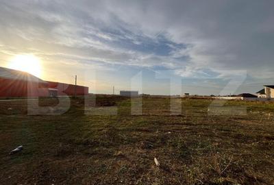 Hale noi pe parter sau P + 1, 1.755 mp utili, teren 4.000 mp, zona Ghercesti - 4