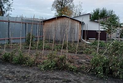 Casă cu teren generos de 2.636 mp, în Tudor Vladimirescu - 2