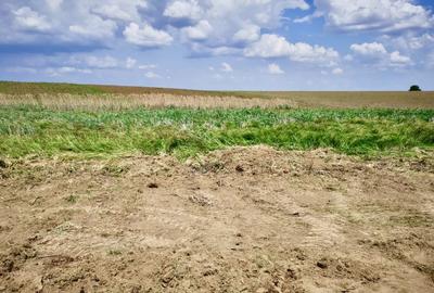 Butimanu, teren cu deschidere la lac, Jud. Dambovita Butimanu, teren cu deschidere la lac, Jud. Dambovita - 2