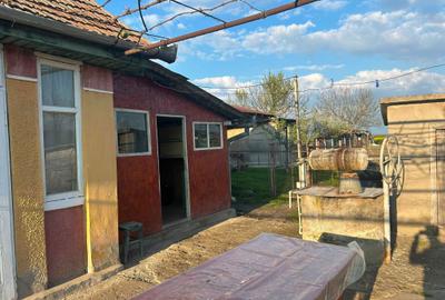 Casă cu 2 camere în Porumbac - 3