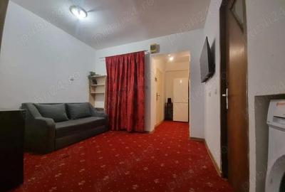 Apartament cu 2 camere semidecomandat în Ozana - 6
