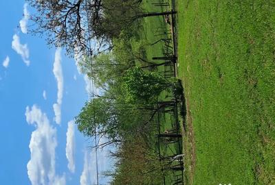 Teren de 10000 mp, în Tomșani - 11