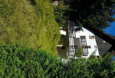 Casă cu 6 camere cu Teren 4950 Mp în Timișu de Sus - 5